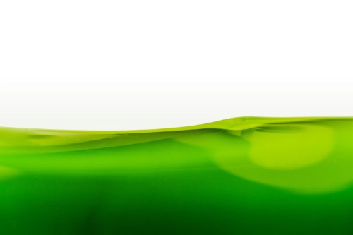 textures of dark to bright green colours forming a wave-like outline on white background.